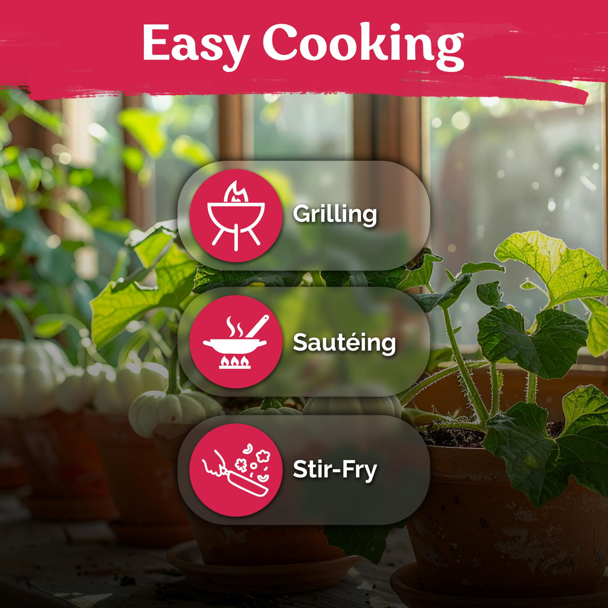 KVITER non-gmo heirloom seeds for reliable garden yields
