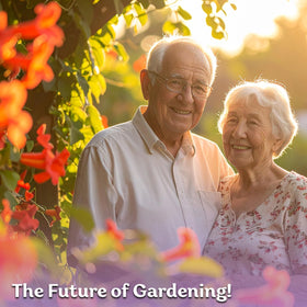 KVITER hardy perennial vine adds color to fences and walls