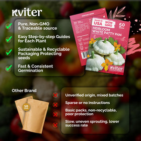 KVITER creamy white patty pan squash fruits ready to grill
