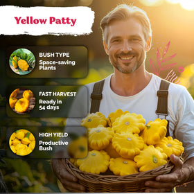 KVITER Patty Pan squash sowing 1 inch deep promotes strong roots