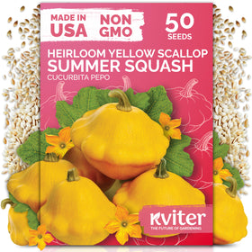 KVITER Patty Pan Yellow Squash Seeds pack front view for easy home garden planting