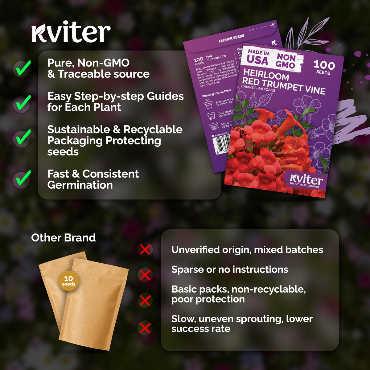 KVITER red blooms in summer to fall attract pollinators