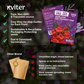 KVITER red blooms in summer to fall attract pollinators