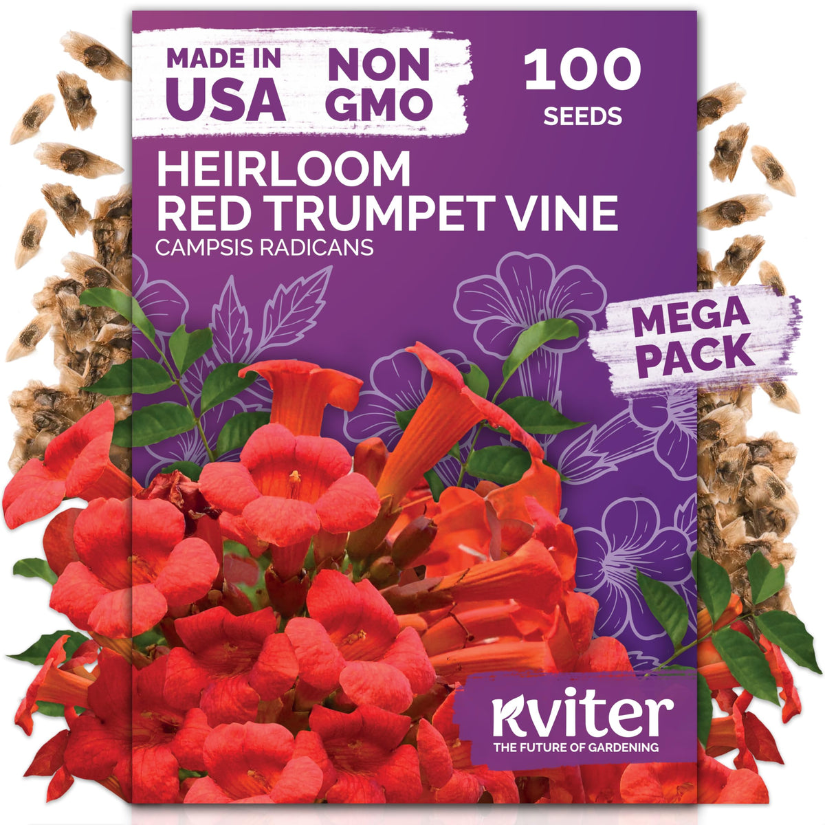 KVITER red trumpet vine seeds front pack ready to plant along fences
