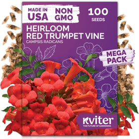KVITER red trumpet vine seeds front pack ready to plant along fences