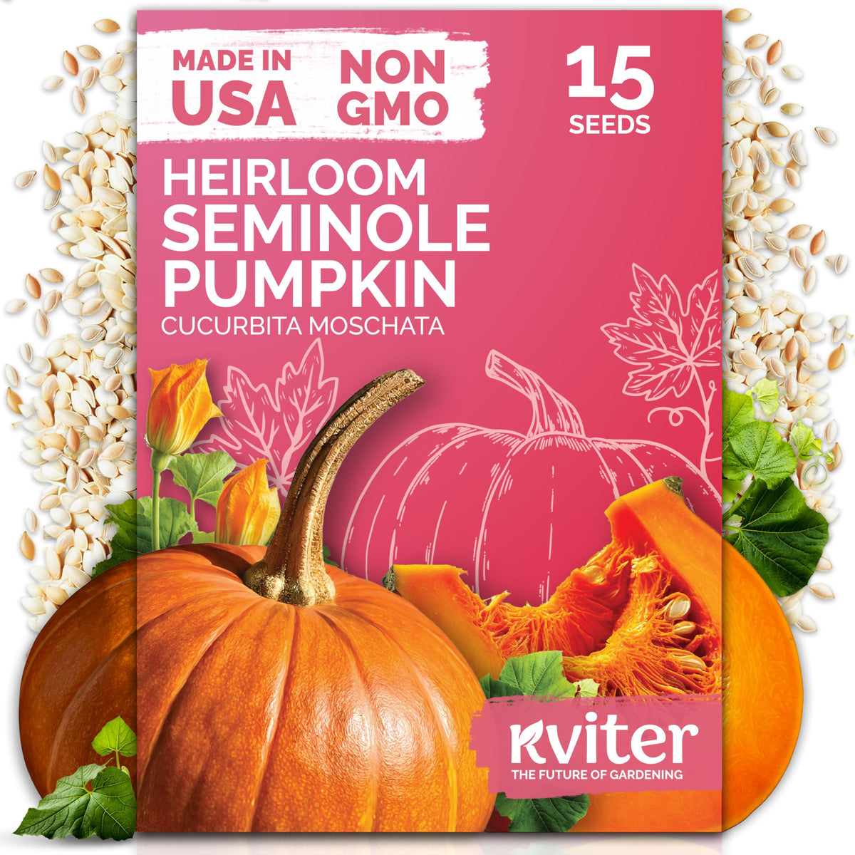 KVITER Seminole seeds pack ready for heirloom planting and garden displays.