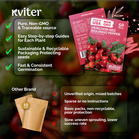 KVITER Sweety Drop peppers fruit close-up highlighting vibrant color and mild sweetness