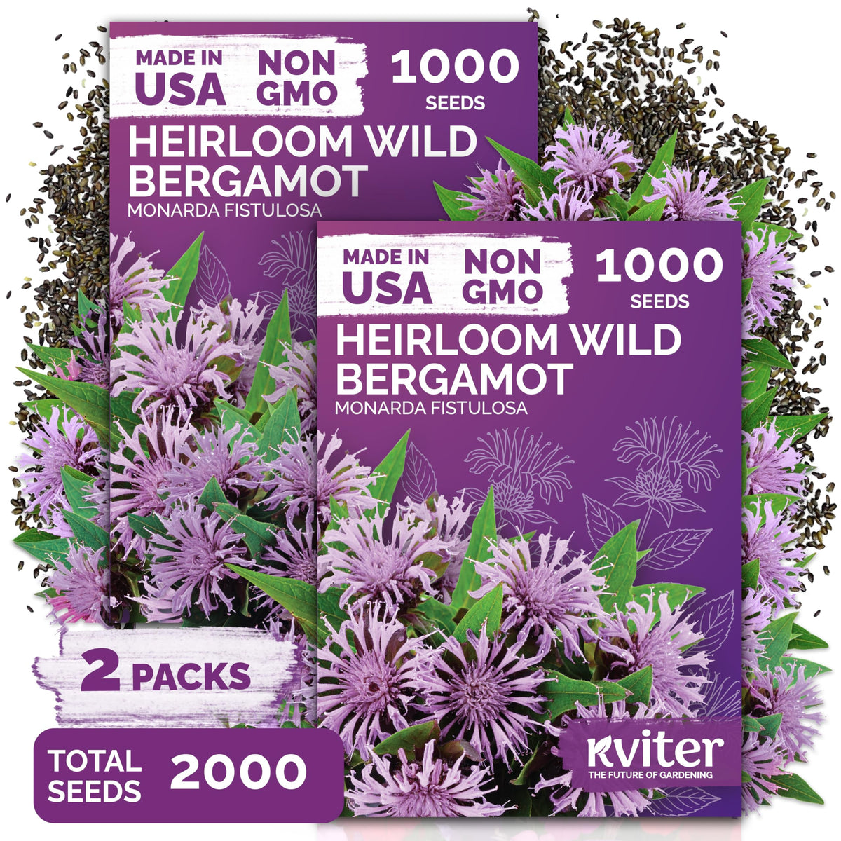 KVITER wild bergamot seeds for outdoor planting attract pollinators.