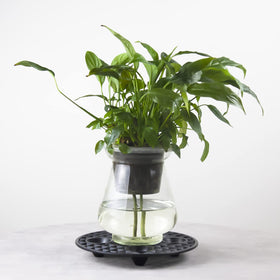 KVMORZE indoor/outdoor use elevates pots on decks and balconies.