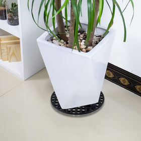 KVMORZE plant risers with ring-foot design provide stable, even support.