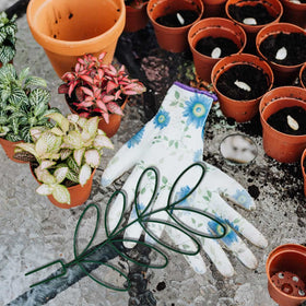 KVZVK 12-6x5 inch trellis guides indoor plants to grow upward.