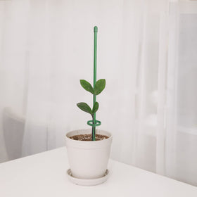 KVZVK green plant stake with ring buckles blending with foliage for discreet support.