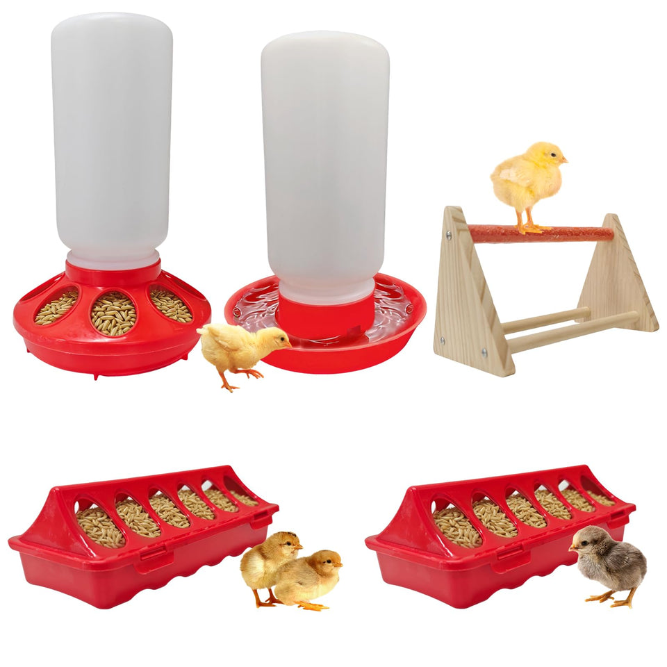 Kweetle chick feeder-waterer starter kit shows compact brood setup for clean brooding.