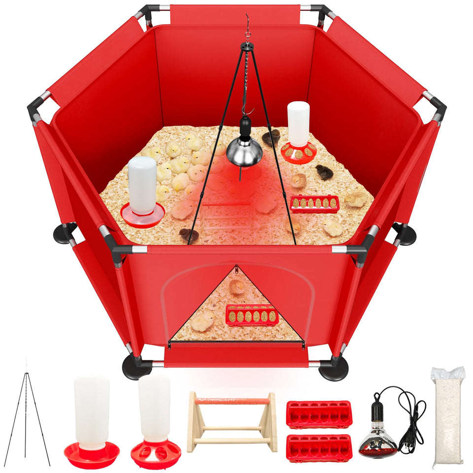 Kweetle Chicks Brooder Box heat lamp keeps chicks warm safely