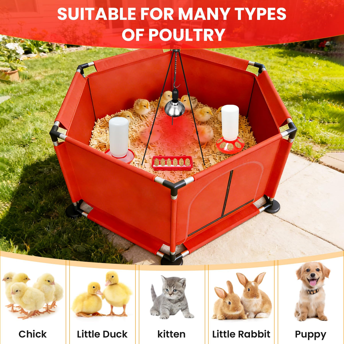 Kweetle Chicks Brooder Box waterer provides clean drinking water