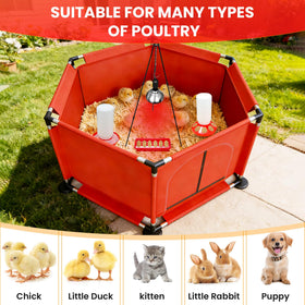 Kweetle Chicks Brooder Box waterer provides clean drinking water