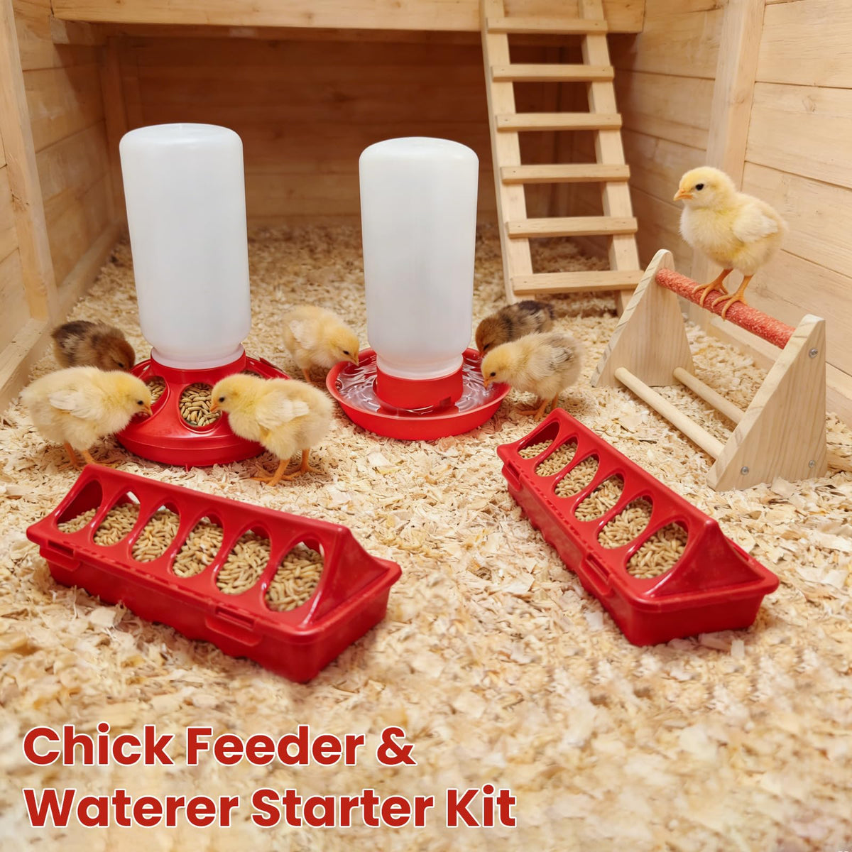 Kweetle easy-clean plastic parts simplify weekly brooder maintenance.