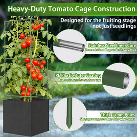 Heavy-duty stainless steel cage with coating resists rust in outdoor use.