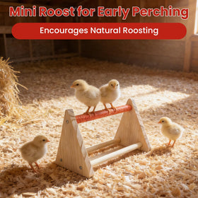 Kweetle mini roost bar encourages early perching and balance in chicks.