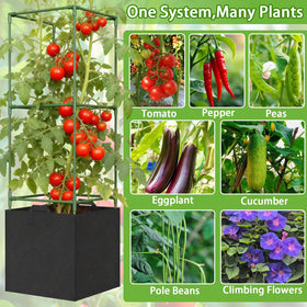 Patio-friendly garden kit ideal for balconies and raised beds.