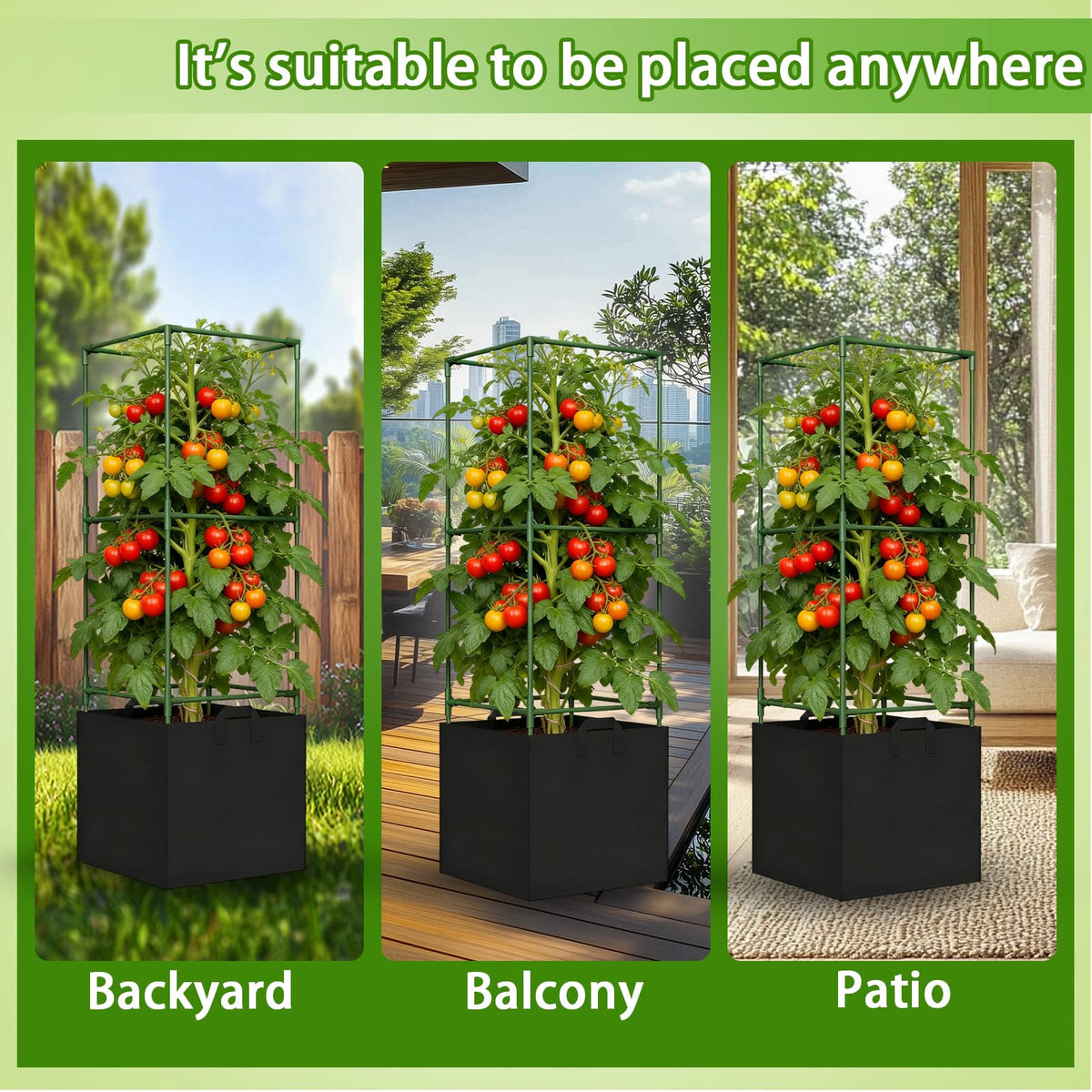 Versatile plant support suitable for tomatoes, cucumbers, beans, and more.