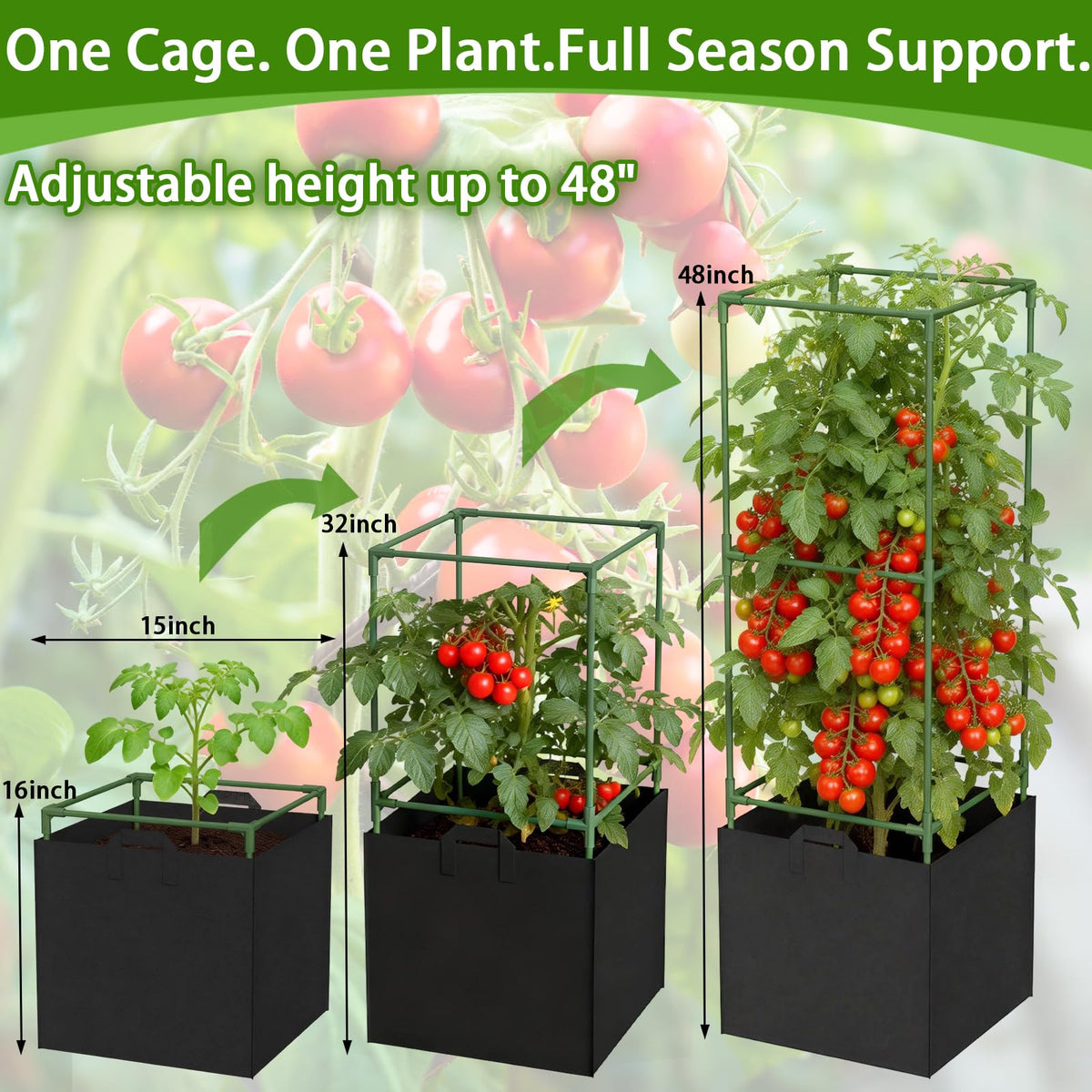 Square frame improves airflow and sunlight exposure for healthier fruits.