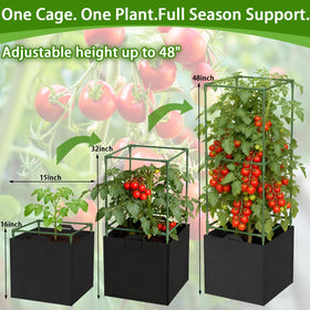Square frame improves airflow and sunlight exposure for healthier fruits.