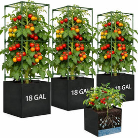 Kweetle tomato cage with grow bag setup provides stable support.