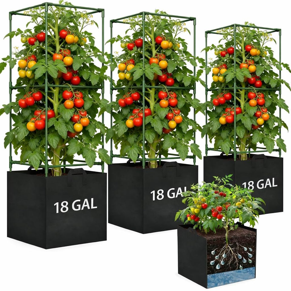 Kweetle tomato cage with grow bag setup provides stable support.