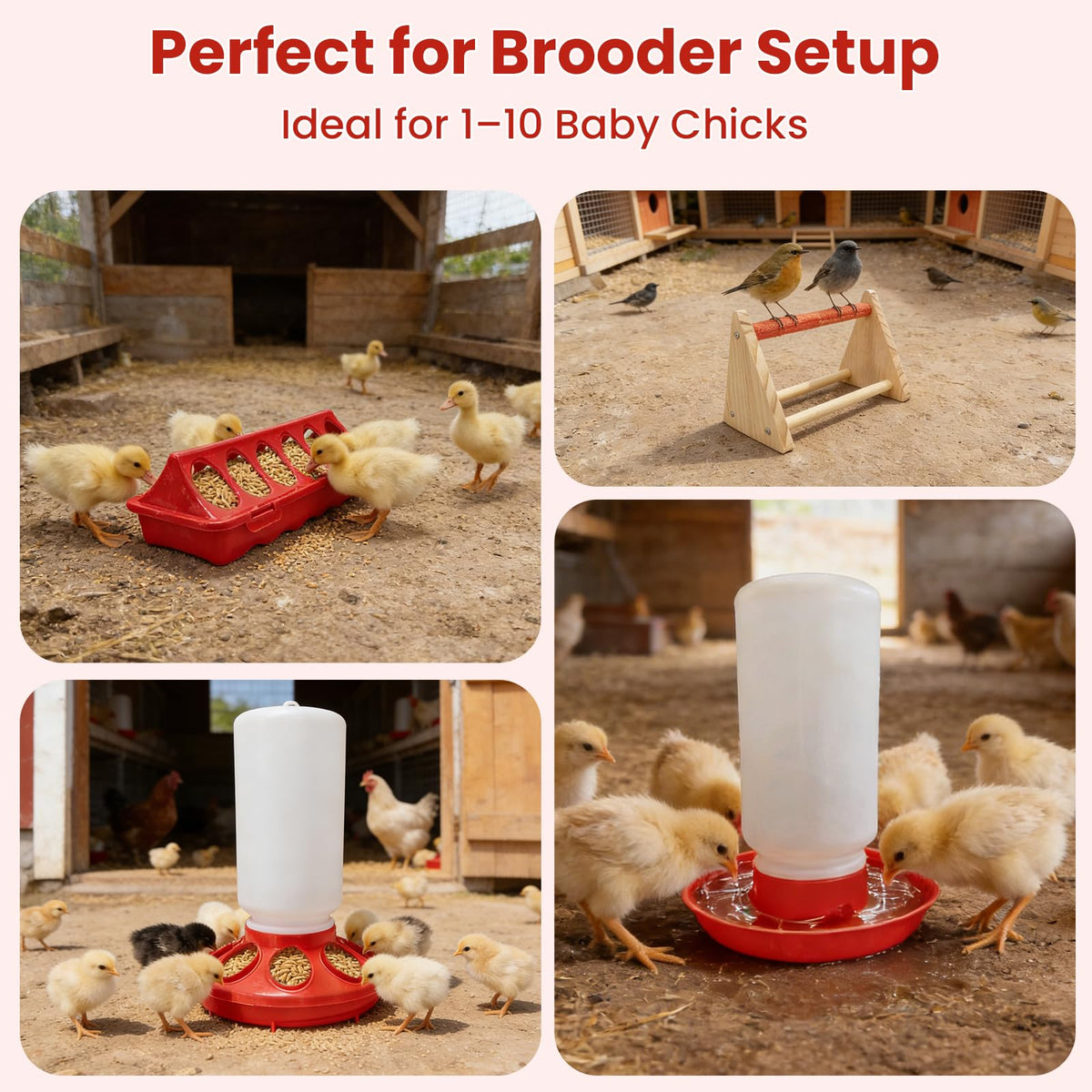Kweetle trough feeders create separate feeding spaces to minimize crowding.