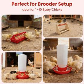 Kweetle trough feeders create separate feeding spaces to minimize crowding.