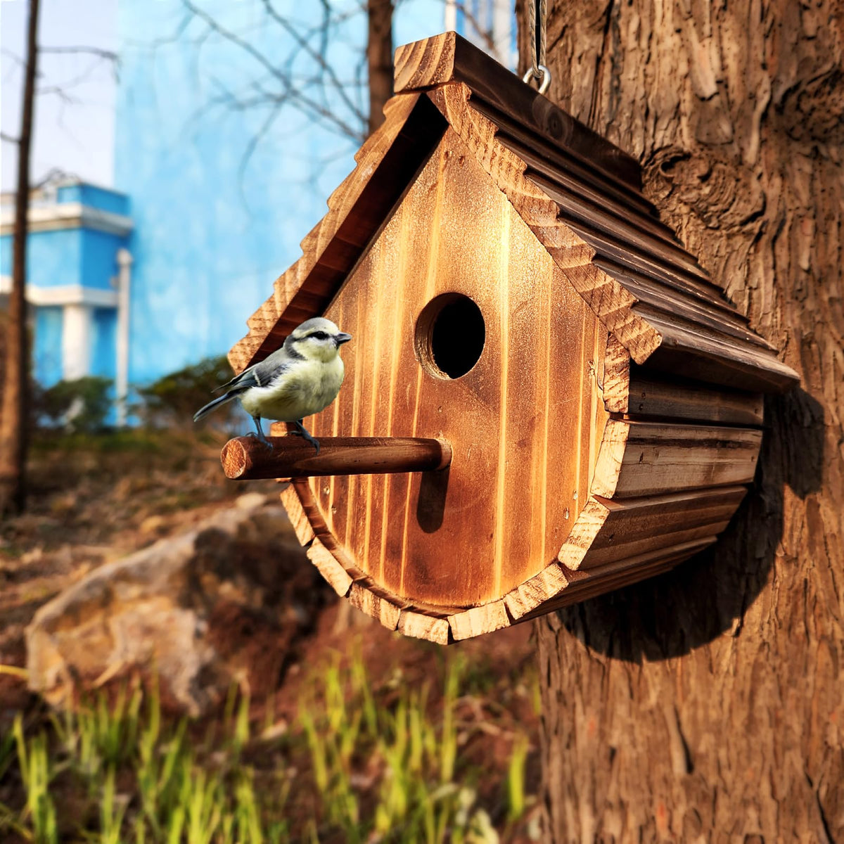 KWISAMR chickadee bird house hanging, spacious interior for safe nesting