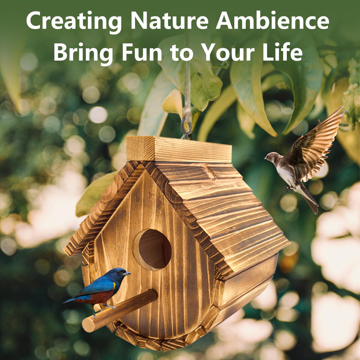 KWISAMR detachable perch makes setup and cleaning easy