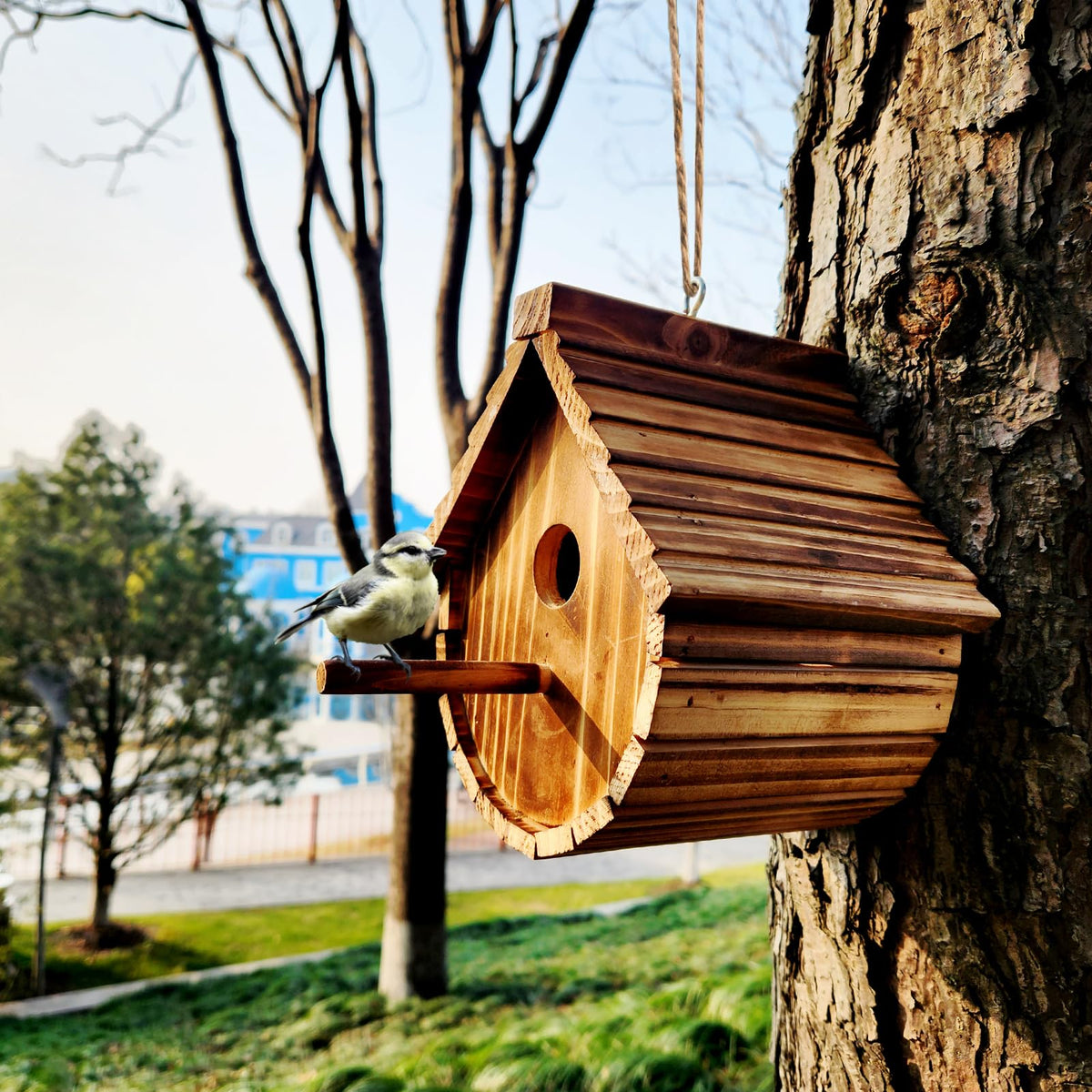 KWISAMR garden decor bird house adds natural charm