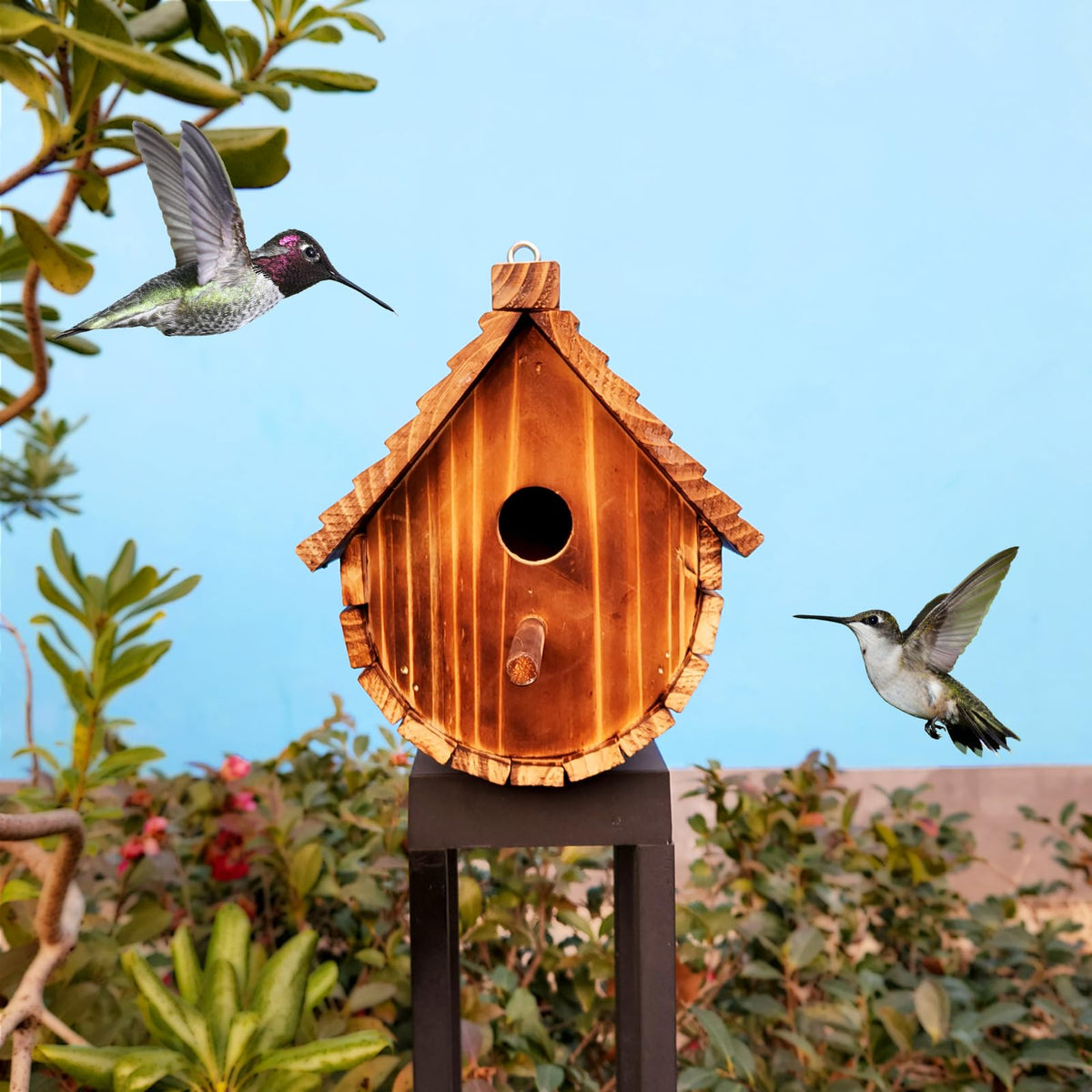 KWISAMR spacious design provides room for small songbirds