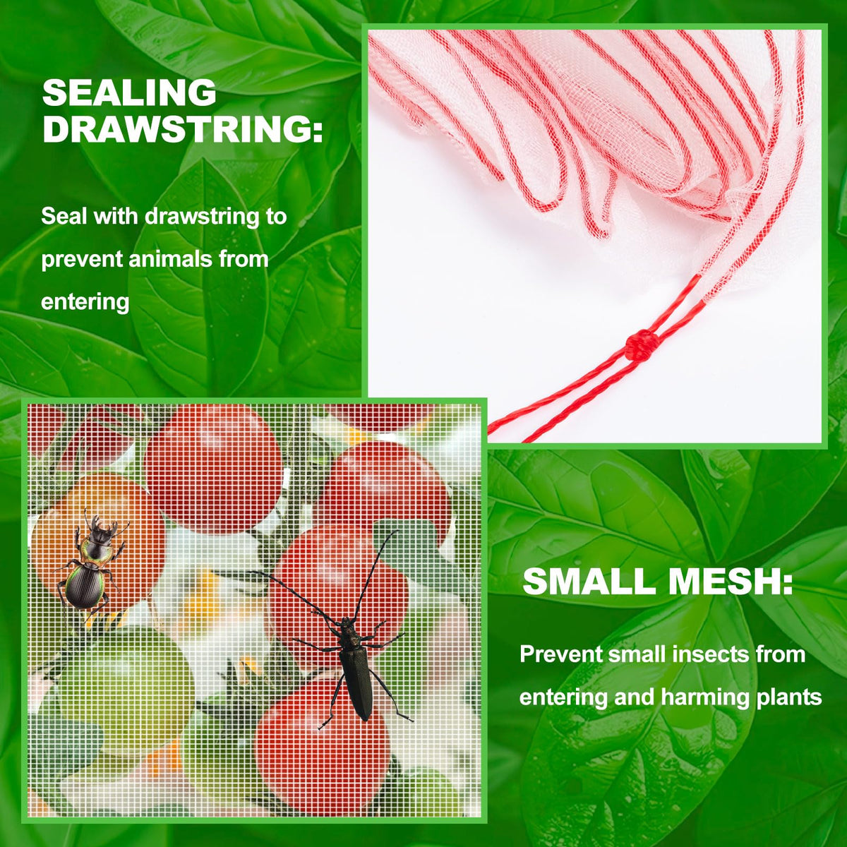 KXCOFTXI blueberry bush protector netting shields fruit from birds and pests