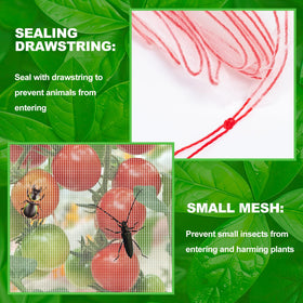 KXCOFTXI blueberry bush protector netting shields fruit from birds and pests