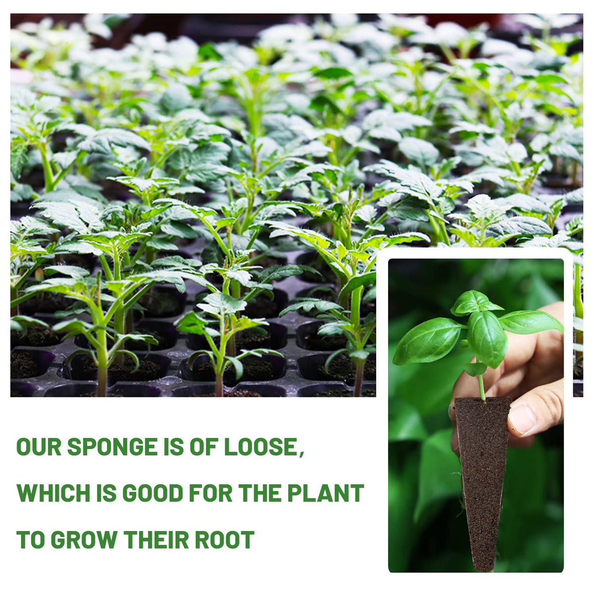 KXCOFTXI bulk pack of sponges for replacements in hydroponic gardens.