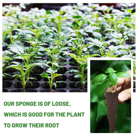 KXCOFTXI bulk pack of sponges for replacements in hydroponic gardens.