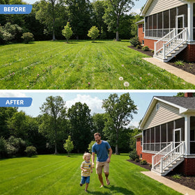KXGBARN yard weeder in garden reaches tough-to-remove weeds between plants