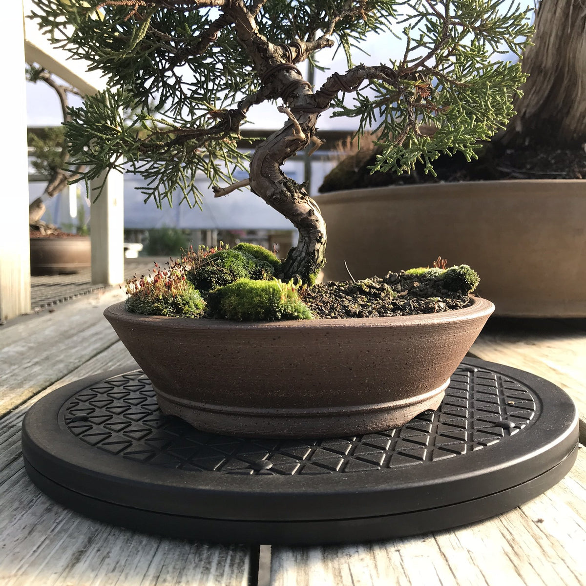 Kydely Mighty Mini Bonsai Turntable high-grip tread reduces slippage.