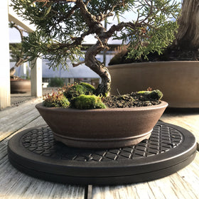 Kydely Mighty Mini Bonsai Turntable high-grip tread reduces slippage.