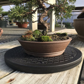 Kydely Mighty Mini Bonsai Turntable suitable for indoor and outdoor use.