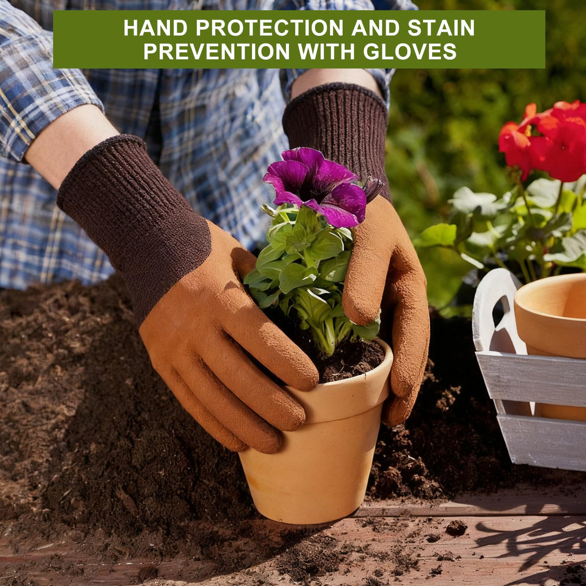Kynup transplanter easing seedling relocation with minimal root disturbance