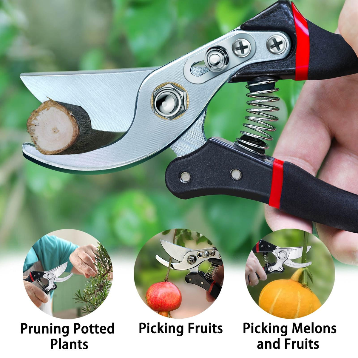 Kynup rose trimmer ideal for trimming roses and shrubs
