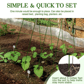 Compact-fit Kyrieval cucumber trellis ideal for tight garden beds.
