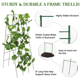 Kyrieval cucumber trellis in use lifting vines for better airflow.