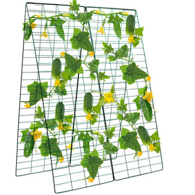 Kyrieval cucumber trellis in A frame supports climbing plants