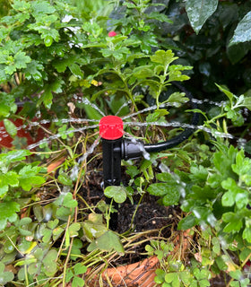 La Farah greenhouse irrigation setup suited for pots, trees, and shrubs