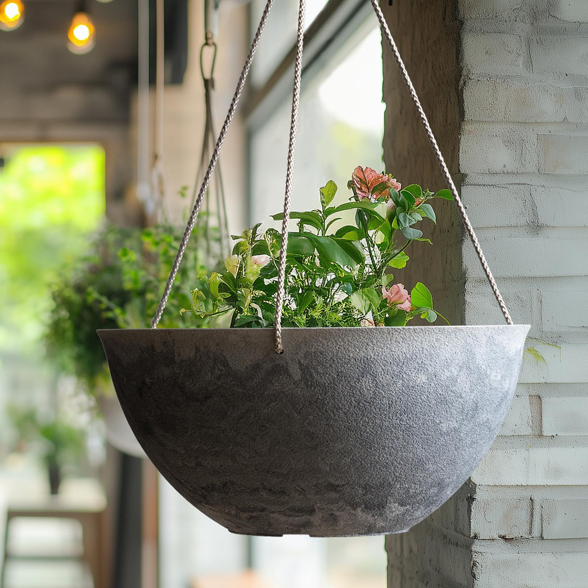 LA JOLIE MUSE versatile setup enhances modern interior or balcony décor